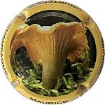 Nom du fichier=girolle.jpg
Taille du fichier=19Ko
Dimensions : 400x400
Ajouté le : 02 Mars 2023 girolle.jpg