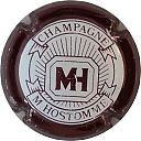 Nom du fichier=hostomme_m_ndeg05.JPG
Taille du fichier=29Ko
Dimensions : 400x400
Ajouté le : 27 Mai 2013 hostomme_m_ndeg05.JPG