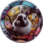 Nom du fichier=lapin~0.jpg
Taille du fichier=25Ko
Dimensions : 400x400
Ajouté le : 10 Juin 2024 lapin~0.jpg