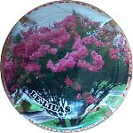 Nom du fichier=le_lilas.jpg
Taille du fichier=23Ko
Dimensions : 400x400
Ajouté le : 18 Janvier 2023 le_lilas.jpg