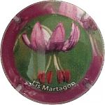 Nom du fichier=lis_martagon.jpg
Taille du fichier=13Ko
Dimensions : 400x400
Ajouté le : 18 Octobre 2021 lis_martagon.jpg