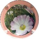 Nom du fichier=liseron.jpg
Taille du fichier=15Ko
Dimensions : 400x400
Ajouté le : 19 Mars 2018 liseron.jpg