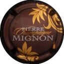 mignon_pierre_61c_marron_et_or.jpg