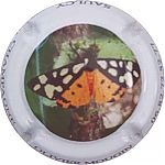 Nom du fichier=papillon~0.jpg
Taille du fichier=14Ko
Dimensions : 400x400
Ajouté le : 04 Juillet 2025 papillon~0.jpg