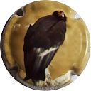 Nom du fichier=rapace_3.jpg
Taille du fichier=13Ko
Dimensions : 400x400
Ajouté le : 04 Janvier 2018 rapace_3.jpg