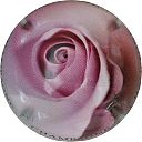 Nom du fichier=rose.jpg
Taille du fichier=30Ko
Dimensions : 400x400
Ajouté le : 28 Mai 2013 rose.jpg