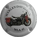 rouyer_p_wla_45_harley-davidson.jpg