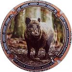 Nom du fichier=sanglier_3.jpg
Taille du fichier=25Ko
Dimensions : 400x400
Ajouté le : 26 Juillet 2024 sanglier_3.jpg