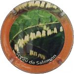 Nom du fichier=sceau_de_salomon.jpg
Taille du fichier=14Ko
Dimensions : 400x400
Ajouté le : 18 Octobre 2021 sceau_de_salomon.jpg
