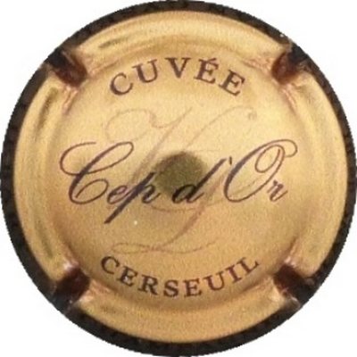 N°03 Or et noir, Cep d'or
Photo BENEZETH Louis
