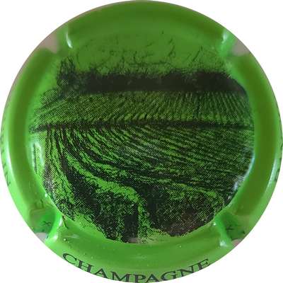 N°26a Vigne, vert et noir
Photo Joëlle MENNERET
