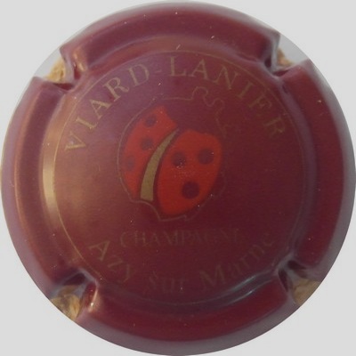 N°07x marron 
Photo THIERRY Jacques
