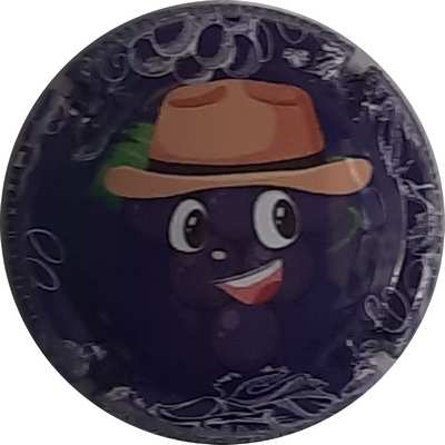 N°17 Série de 6,Grappe, violet foncé
Photo Christophe LELU
