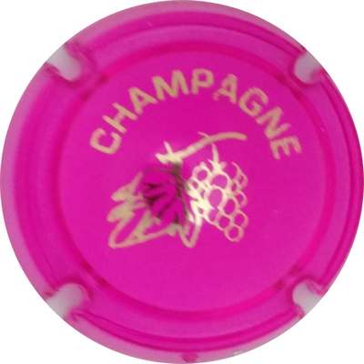 C18 Grappe et feuille, opalis violet
Photo Jacky MICHEL
