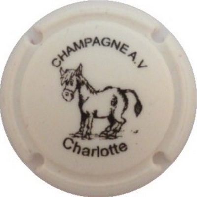 N°01 Opalis blanc et noir, Charlotte
Photo J.R.
