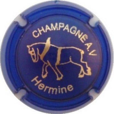 N°01 Opalis bleu et or, Hermine
Photo J.R.
