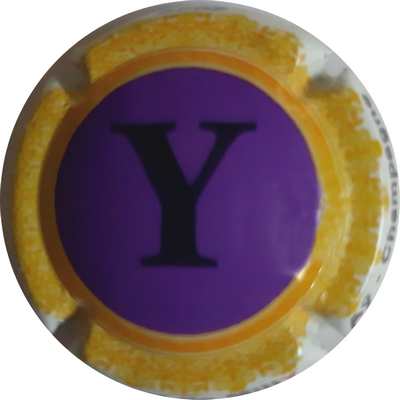 N°061k Y Violet, contour jaune
Photo Michael MIKA
