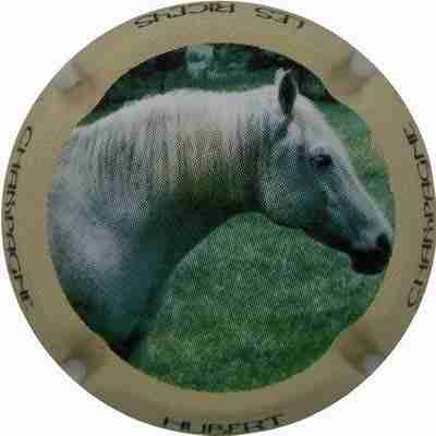 N°01 Série de 6 (chevaux) 
Photo Franck Kerdoncuff
