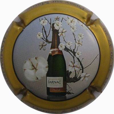 N°47b Coiffe bronze, contour or
Photo Franck Kerdoncuff
