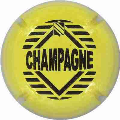 C06 Jaune et noir
Photo Franck Kerdoncuff
