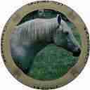 Nom du fichier=Hubert_NR1.jpg
Taille du fichier=41Ko
Dimensions : 400x400
Ajouté le : 18 Mai 2013 Hubert_NR1.jpg