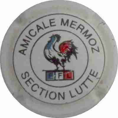 N°20 Amicale Mermoz,  blanc
Photo DEMOLIN Gérard
