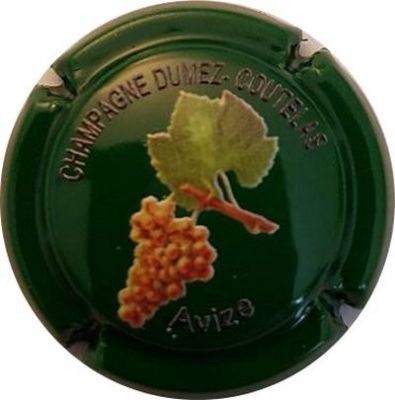 N°01d Grappe en relief, fond vert foncé 
photo Aurore DETHUNE
