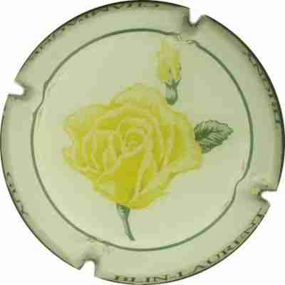 N°11 Rose jaune
Photo DAMOUR J.P.
