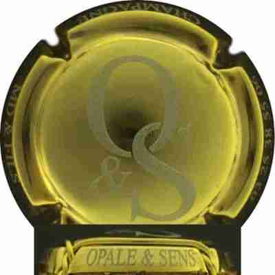 N°32bx Opale&Sens, plaqué or, grandes lettres sur contour
Photo DAMOUR JP
Mots-clés: NR plaqué Or