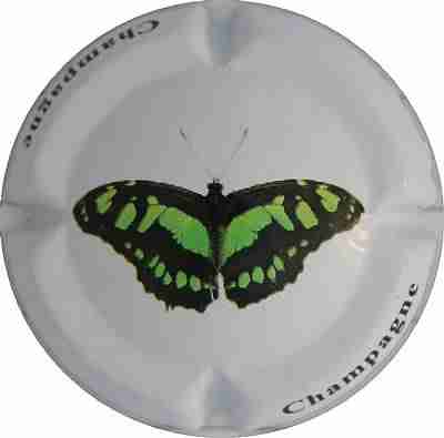 N°0772a fond blanc
Photo Jacques
