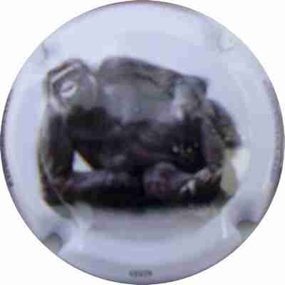 C29 N°06 LE SINGE
Photo MURAT André
