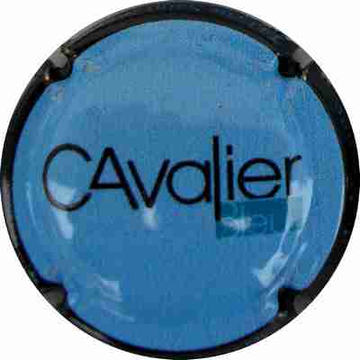 N°181 Cavalier bleu
Photo MURAT André
Mots-clés: CAVALIER.BLEU