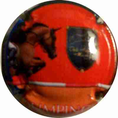 N°163 JUMPING.MACON
Photo MURAT André
Mots-clés: JUMPING.MACON