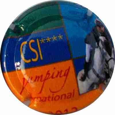 N°163c CSI.2013
Photo MURAT
Mots-clés: CSI.2013