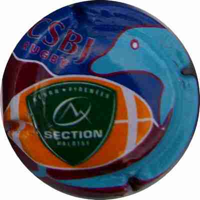 N°210e CSBJ.PAU
Photo MURAT André
Mots-clés: CSBJ.PAU