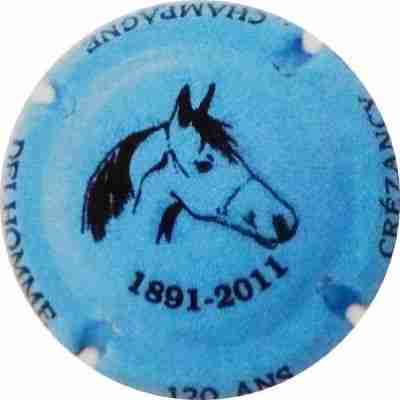 N°11 Cheval, bleu et noir
Image Yves STEFANI
