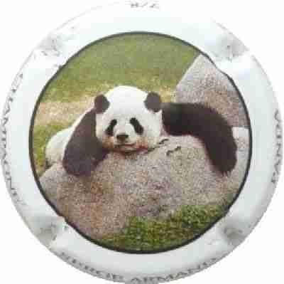 N°11 Série de 8 (pandas), 7/8
Photo JR
