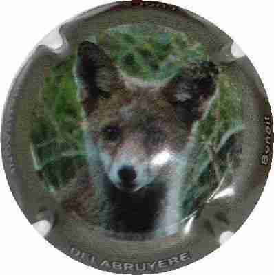 N°13 Série de 6 (Renards) contour gris
Image Yves STEFANI
