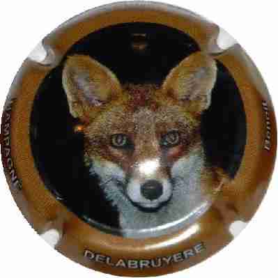 N°13 Série de 6 (Renards) contour marron
Image Yves STEFANI

