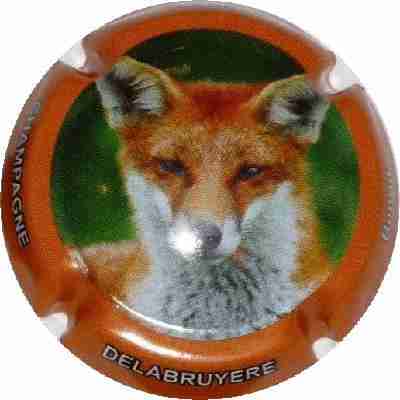 N°13 Série de 6 (Renards) contour orange
Image Yves STEFANI
