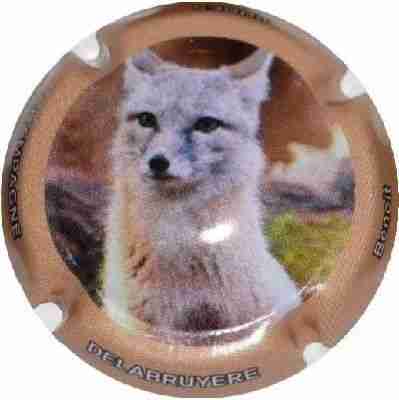 N°13 Série de 6 (Renards) contour rose
Image Yves STEFANI
