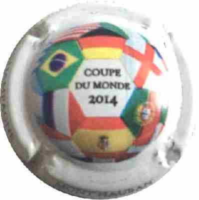N°013 Coupe du Monde 2014
Photo René VLANCHET
