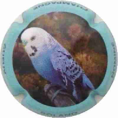 N°14 Série de 6 oiseaux, contour bleu ciel (1)
Photo J.R.
