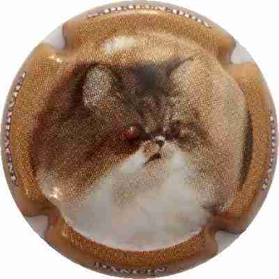 N°18 Série de 6 Chats, Contour marron
Photo Nadia KUUS
