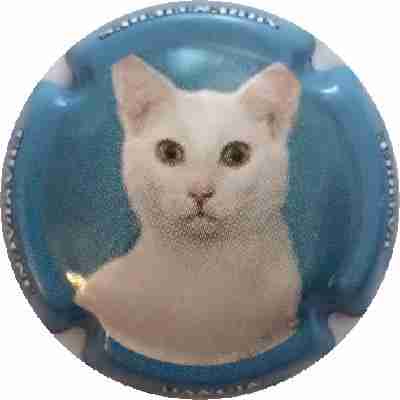 N°18 Série de 6 Chats, Contour bleu
Photo Nadia KUUS
