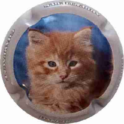 N°18 Série de 6 Chats, Contour gris
Photo Nadia KUUS
