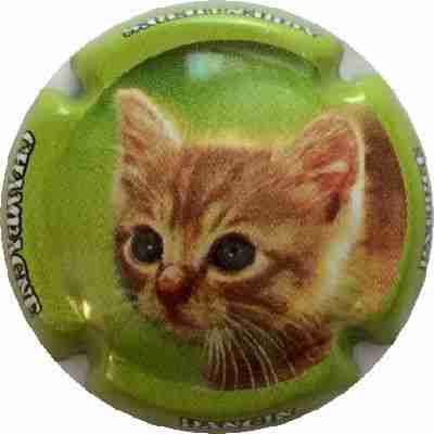 N°18 Série de 6 Chats, Contour vert-pomme
Photo Nadia KUUS
