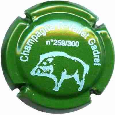 N°01 Sanglier, vert
Image Yves STEFANI
