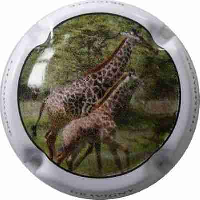 N°01 Série de 6 (Girafe)
Image Yves STEFANI
