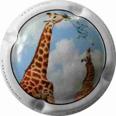 N°01 Série de 6 (Girafe)
Image Yves STEFANI
